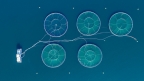 new-app-FishMD-diagnosis-treatment-of-sick-fish.jpg