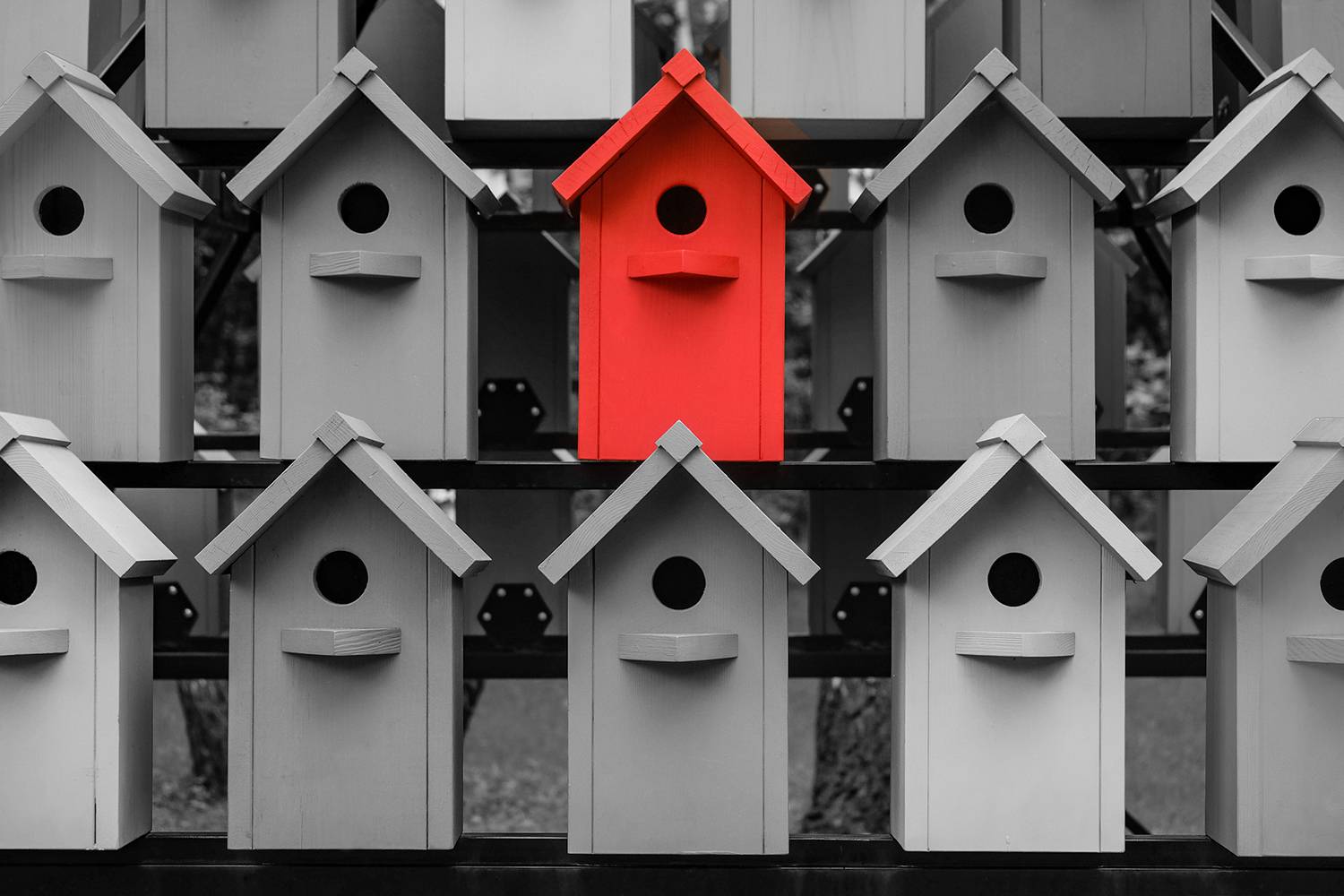 birdhouses, grey with one red.