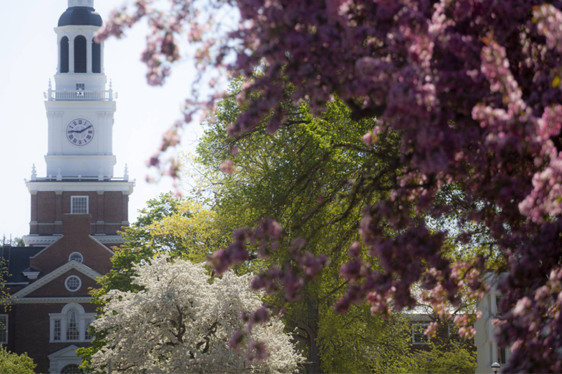 Berry Library